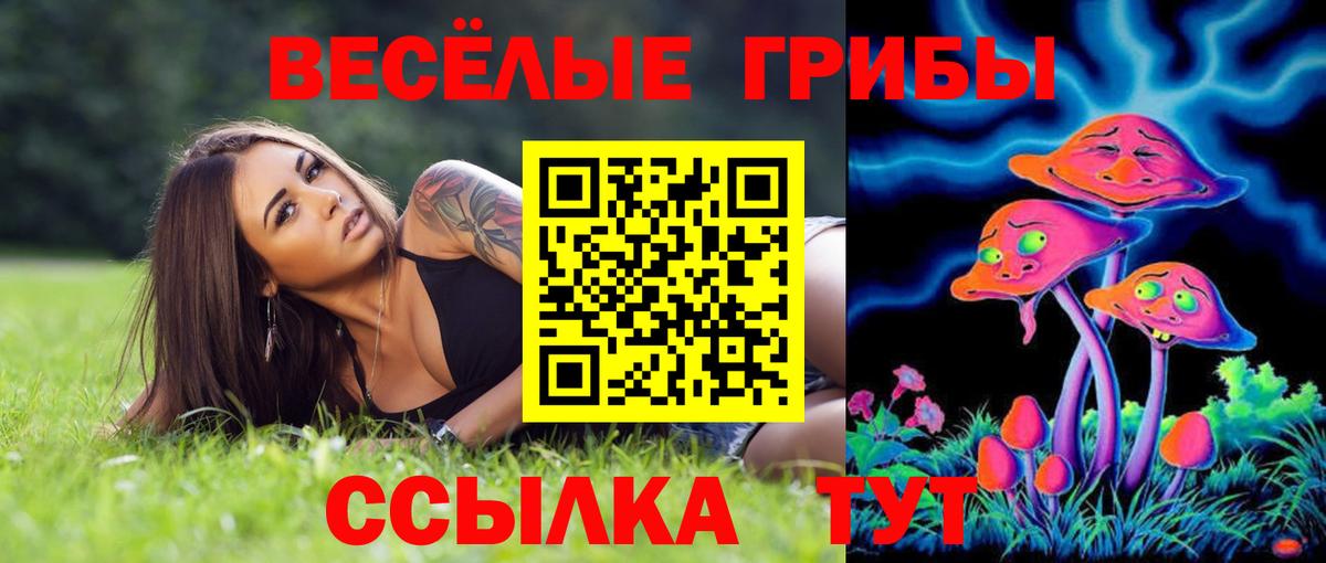 купить  цена  Вход с VPN  Бердск  Псилоцибиновые грибы мухоморы 
